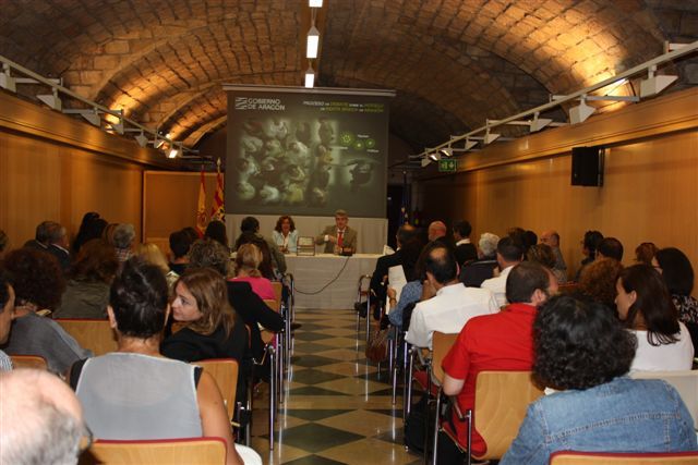 Los Colegios Profesionales de Arag�n participan en el debate sobre el Modelo de Renta B�sica de Arag�n
