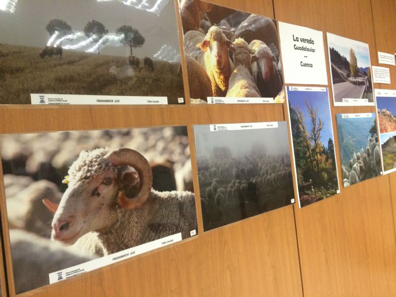 Exposici�n fotogr�fica sobre la trashumancia en el Colegio de Veterinarios de Zaragoza