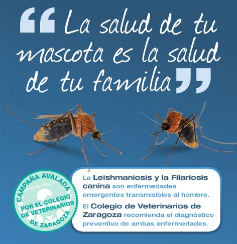 Campa�a de prevenci�n y diagn�stico de la filariosis y leishmaniosis