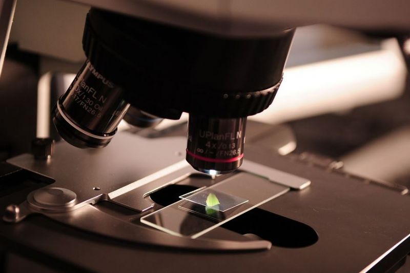 El Colegio de M�dicos de Zaragoza convoca sus becas formativas y ayudas a sociedades ci�ntificas