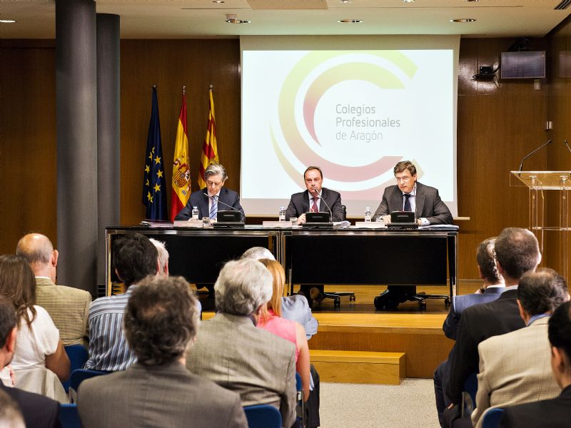 COPA organiza una sesi�n informativa sobre la nueva Ley de Servicios Profesionales