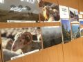 Exposici�n fotogr�fica sobre la trashumancia en el Colegio de Veterinarios de Zaragoza