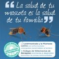 Campa�a de prevenci�n y diagn�stico de la filariosis y leishmaniosis