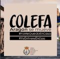 #yoentrenoencasa, nueva iniciativa del Colegio Oficial de Licenciados en Educaci�n F�sica de Arag�n