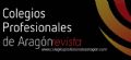 Lanzamiento del n�mero 26 de la Revista de los Colegios Profesionales de Arag�n (COPA)