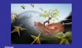 N�mero nuevo del Bolet�n Europeo (julio)