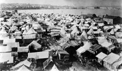 Ampliar foto: Asilo e inmigraci�n: qu� pueden hacer las profesiones