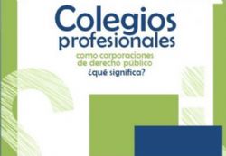 Ampliar foto: Colegios profesionales como corporaciones de derecho p�blico, �qu� significa?