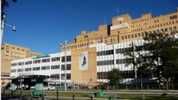 Ampliar foto: El Colegio de M�dicos de Zaragoza  se suma a la campa�a de recogida de firmas ante un posible cierre de la unidad de Psiquiatr�a del hospital Militar