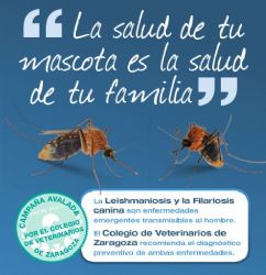 Ampliar foto: Campa�a de prevenci�n y diagn�stico de la filariosis y leishmaniosis