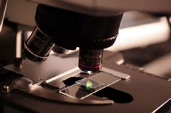 Ampliar foto: El Colegio de M�dicos de Zaragoza convoca sus becas formativas y ayudas a sociedades ci�ntificas