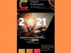 Ampliar foto: COPA 19 Los Colegios Profesionales de Arag�n nos dan las claves para  un a�o lleno de interrogantes