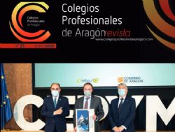 Ampliar foto: N�mero 21 de la Revista de la Asociaci�n de los Colegios Profesionales de Arag�n